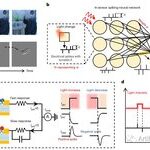 Neuromorphic Event-Driven Vision Sensors for Motion Recognition