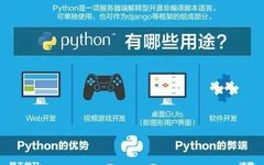 Choosing Programming Languages for Geospatial Students
