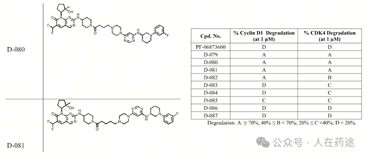 The Future of PROTACs and Molecular Glue: E3 Ligand Development Overview