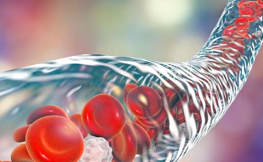 The Diagnostic Value of Biomarkers in Sepsis-Related Myocardial Dysfunction