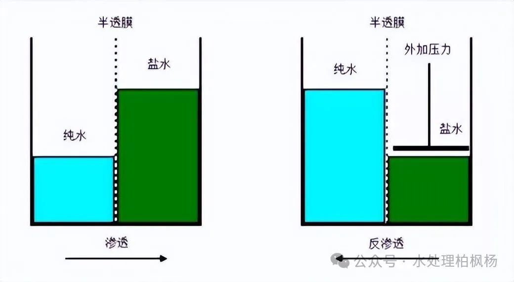 Fundamentals of Reverse Osmosis (Illustrated)