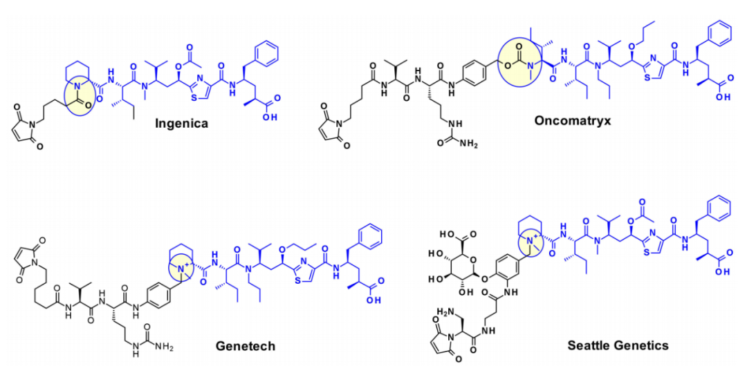 Overview of Antibody-Drug Conjugates (ADCs)