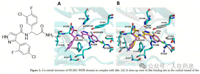 The Future of PROTACs and Molecular Glue: E3 Ligand Development Overview