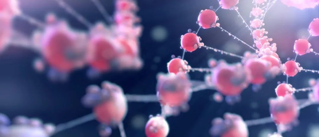 Choosing ADC Toxins: IC50, Mechanisms, and Clinical Insights