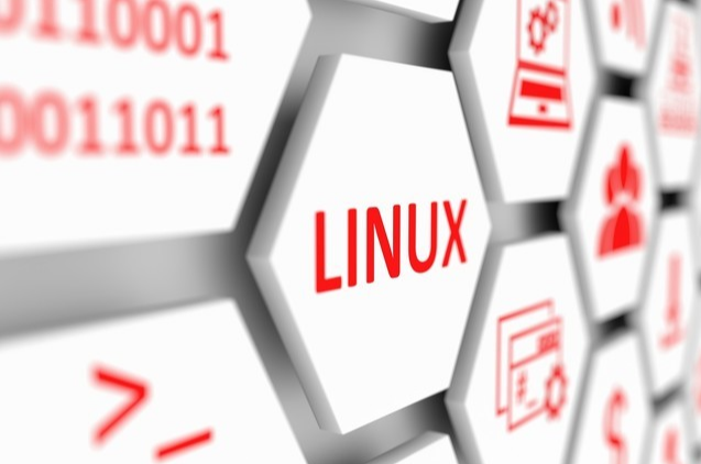 Embedded Linux: Skills for Low-Level vs Application Development