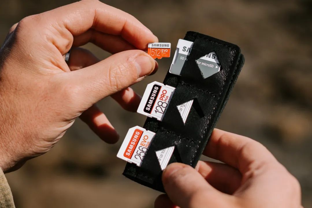Quickly Recover Data from Damaged or Formatted SD Cards