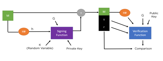 Digital Signature Algorithm (DSA) in Cryptography: How It Works and Its Advantages