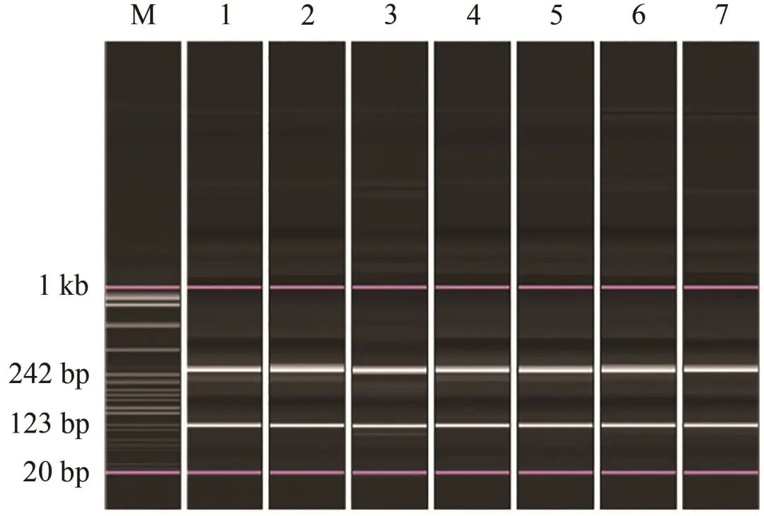 Establishment of Duplex RT-PCR Detection Method for Two Common Viruses in Tilapia