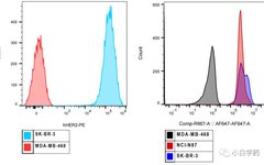 Non-Clinical Research of ADC Drugs