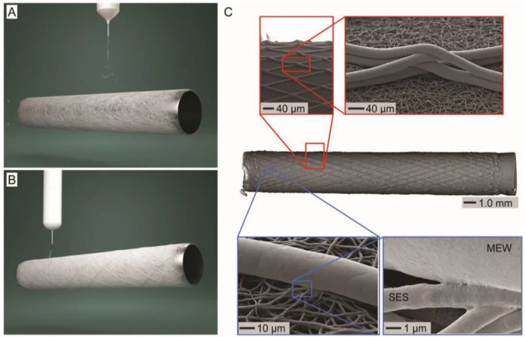 Bioprinting of Vascularized Tissues: A Comprehensive Review