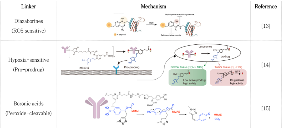 Classification, Cases, and Mechanism of Cleavable Linkers in ADC
