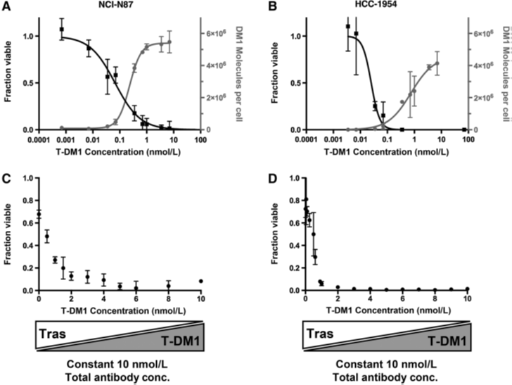 Bottlenecks in ADC Drug Efficacy