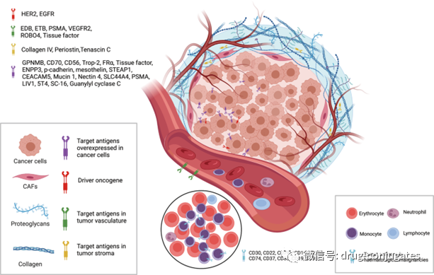 In-Depth Review of ADC Drug Development and Future Directions