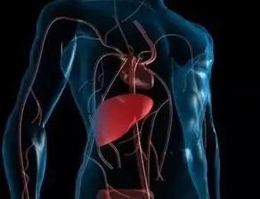 Comprehensive Review of Current Advances in Intrahepatic Cholangiocarcinoma Treatment