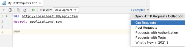 Detailed Guide on GoLand HTTP Client