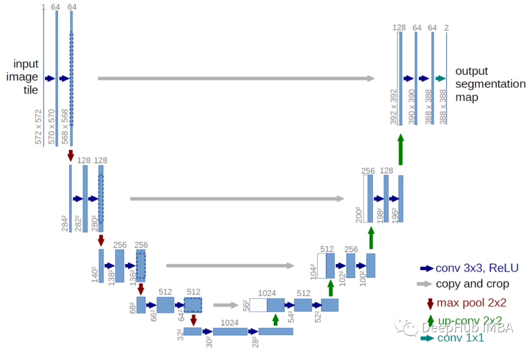 Multimix: Semi-Supervised, Explainable Multi-Task Learning from Medical Images