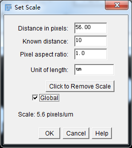 Unlocking Various Technical Skills in ImageJ