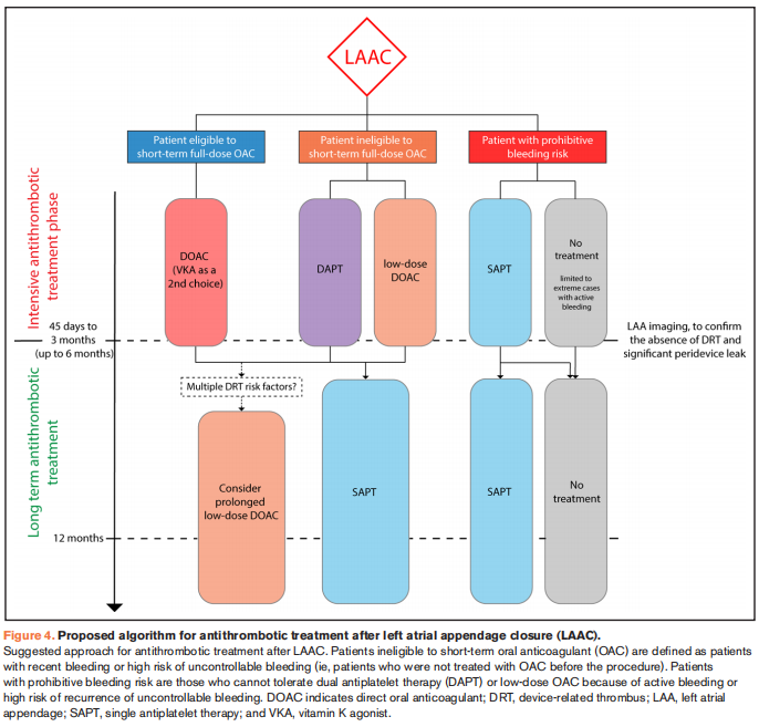 Latest Research Progress on Anticoagulation Therapy After Left Atrial Appendage Closure