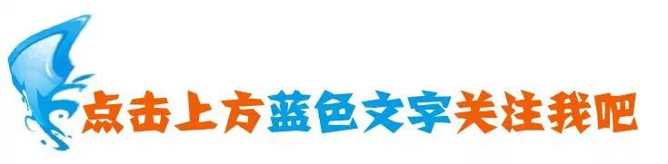 How to File Personal Income Tax for Business Income in China