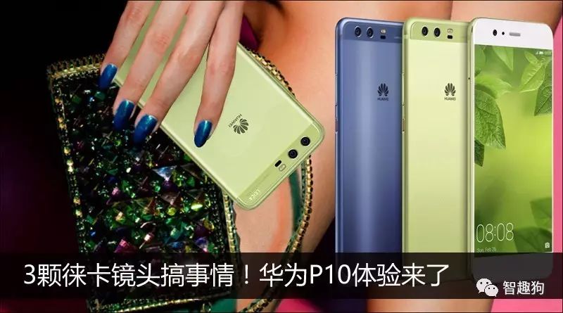 Understanding the Past and Present of Xiaomi's Pinecone Surge S1 and Its True Performance