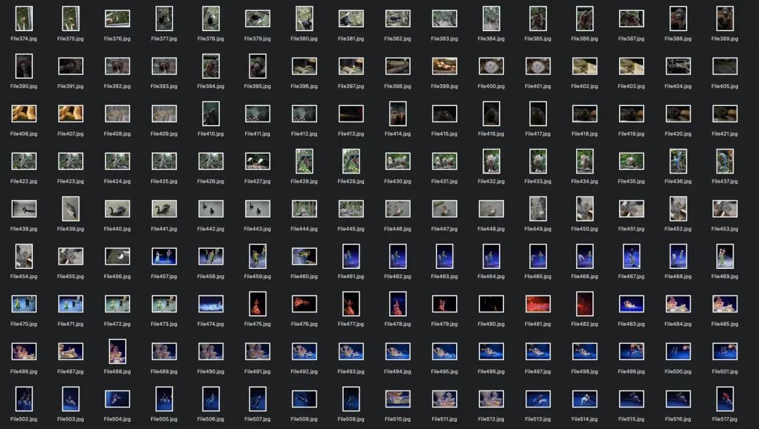 Recovering Lost Data from an SD Card