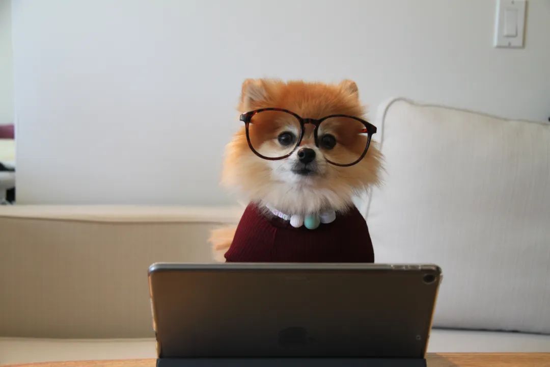 How to Learn C Language? A Complete Guide