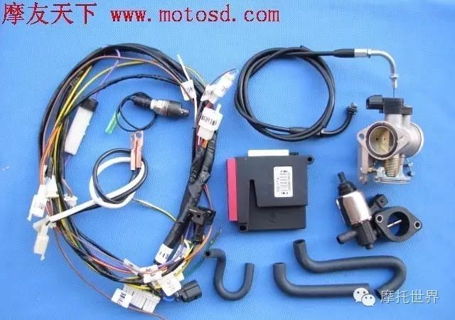 How Many Brands of Fuel Injection System ECU Are There?