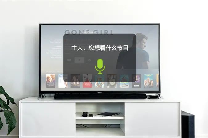 IoT and Smart Home Technology