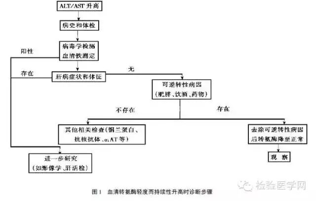Comprehensive Summary of Liver Function Tests