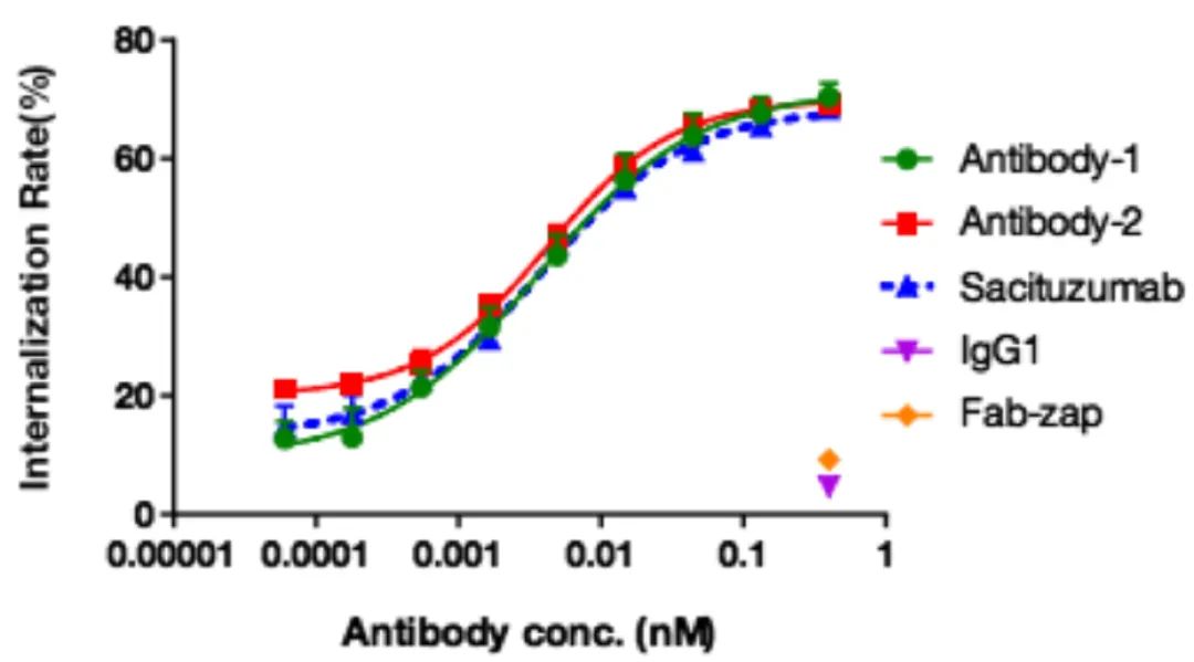 Innovative Delivery: Comprehensive Analysis of 'Magic Bullet' ADC Drug Screening