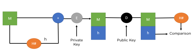 Digital Signature Algorithm (DSA) in Cryptography: How It Works and Its Advantages