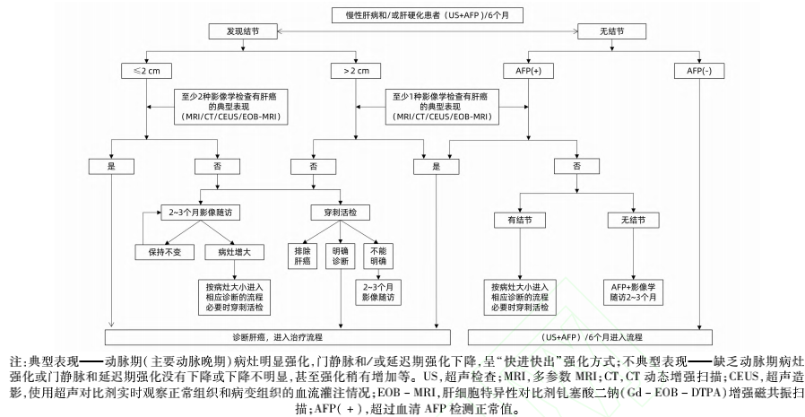 Diagnosis and Staging of Primary Liver Cancer