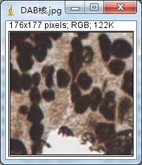 Unlocking Various Technical Skills in ImageJ
