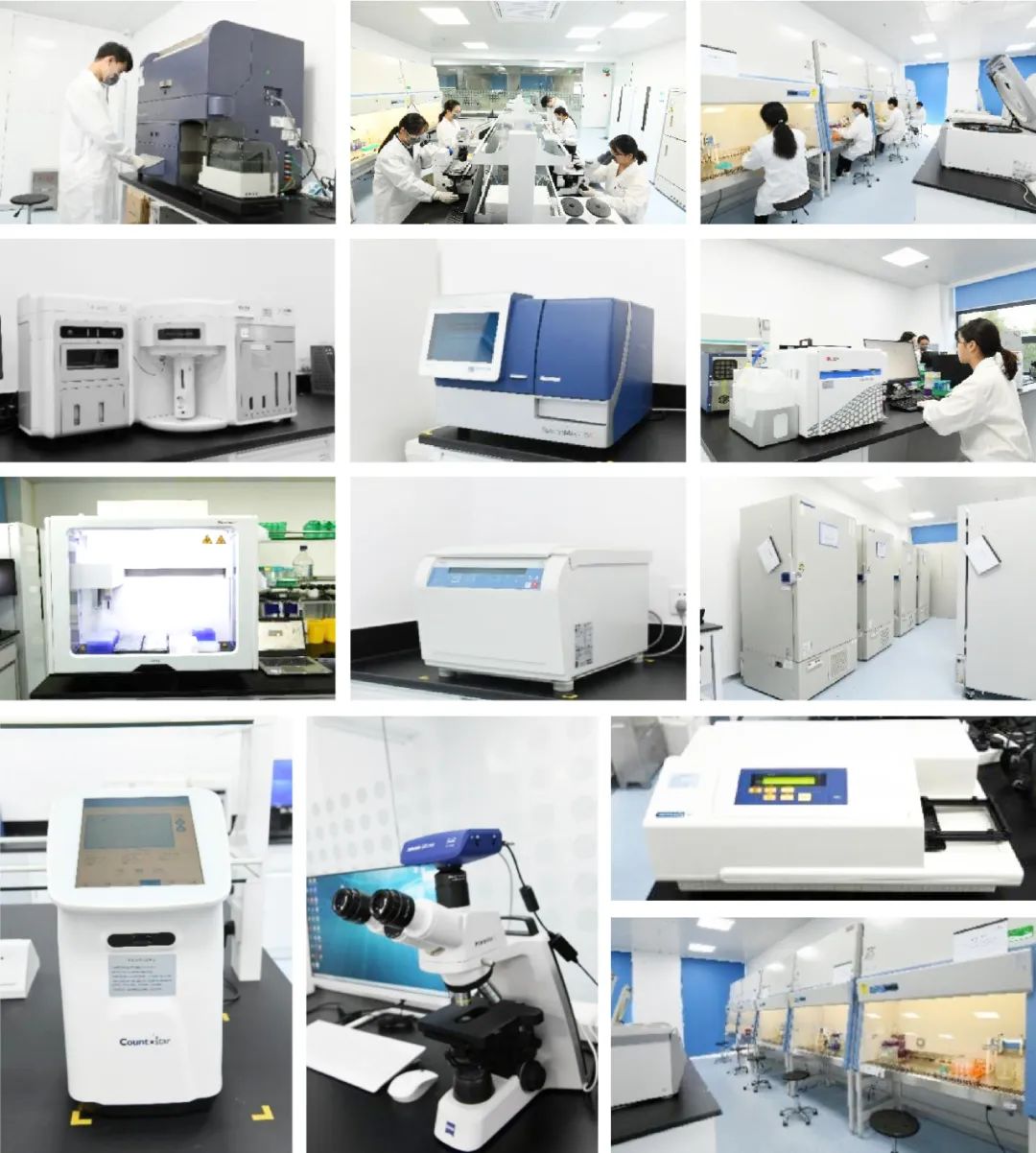 Innovative Delivery: Comprehensive Analysis of 'Magic Bullet' ADC Drug Screening