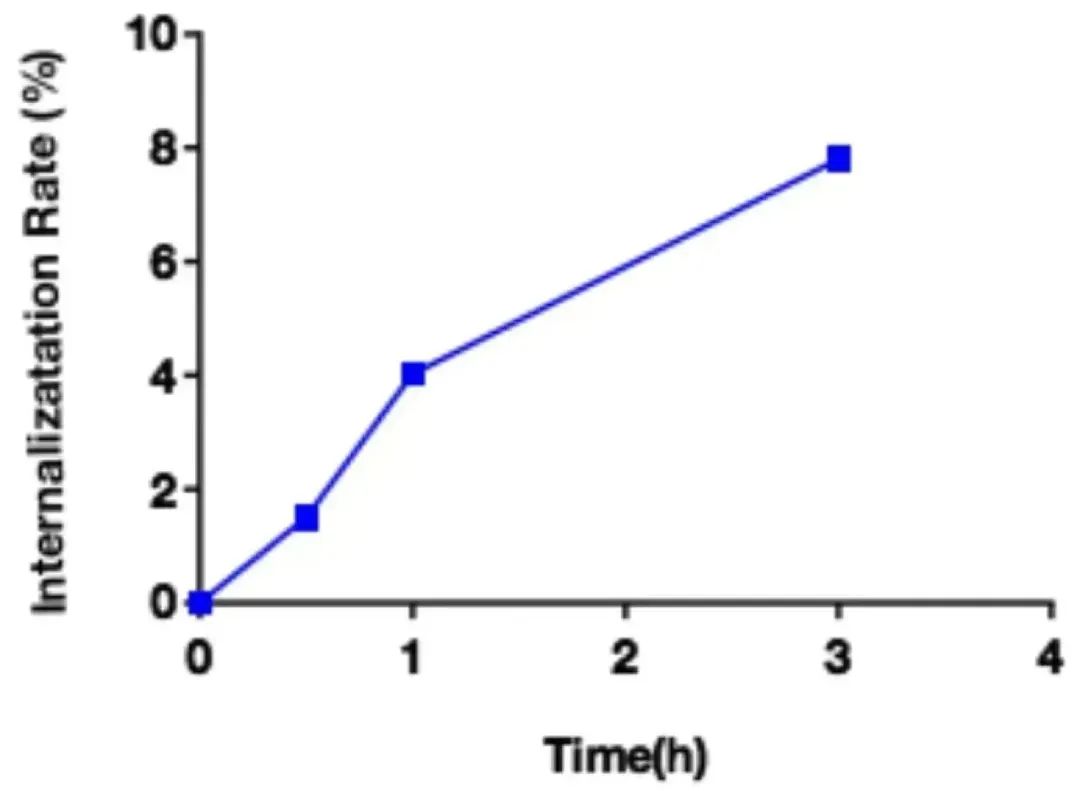 Innovative Delivery: Comprehensive Analysis of 'Magic Bullet' ADC Drug Screening