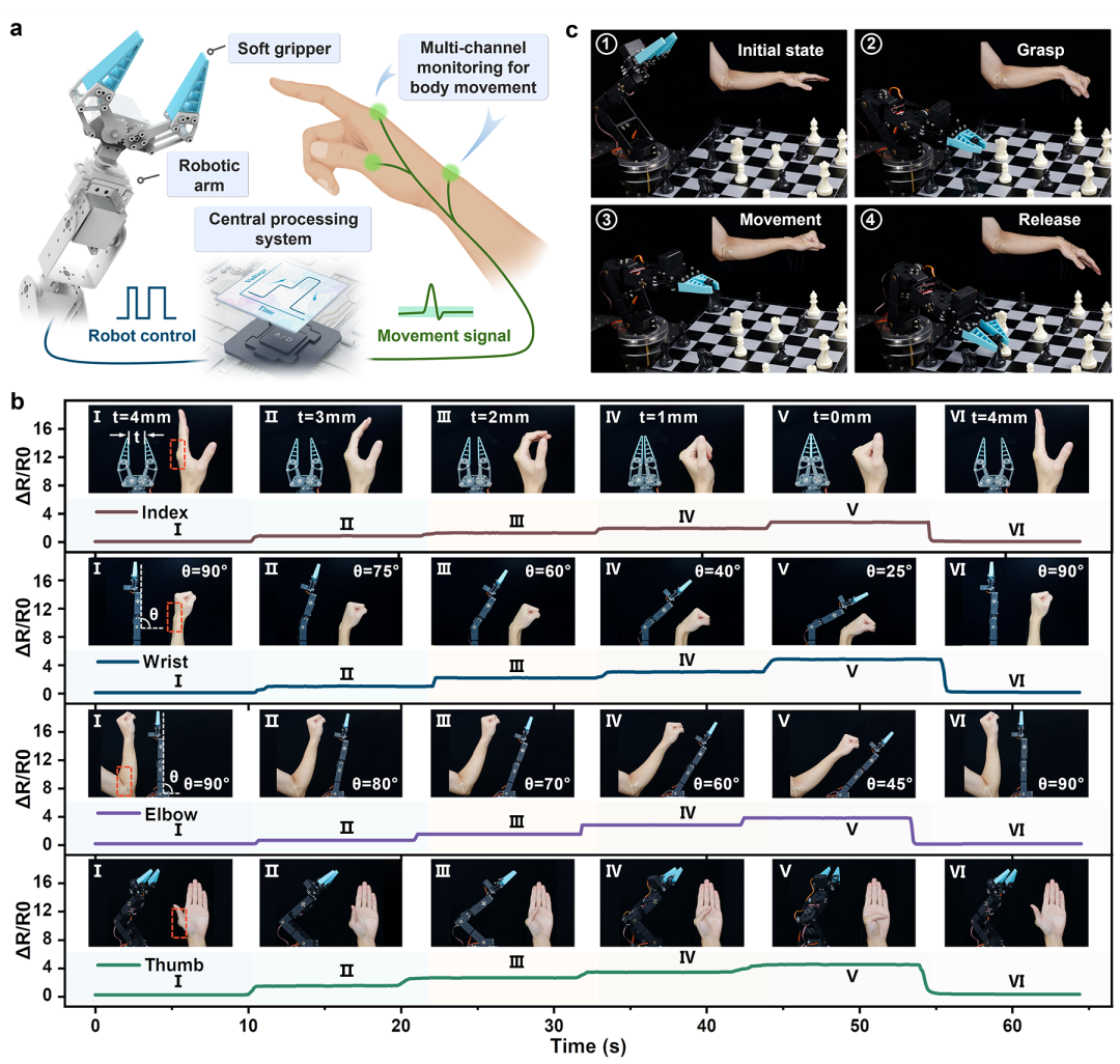 AFM: A Novel High-Sensitivity, Wide-Detection Range Flexible Stretchable Hydrogel Sensor Based on High-Density Cracks