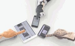 Understanding Touchscreen Gloves