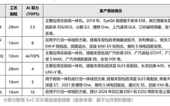 Competitive Landscape of Automotive SoC Chips (Smart Driving)