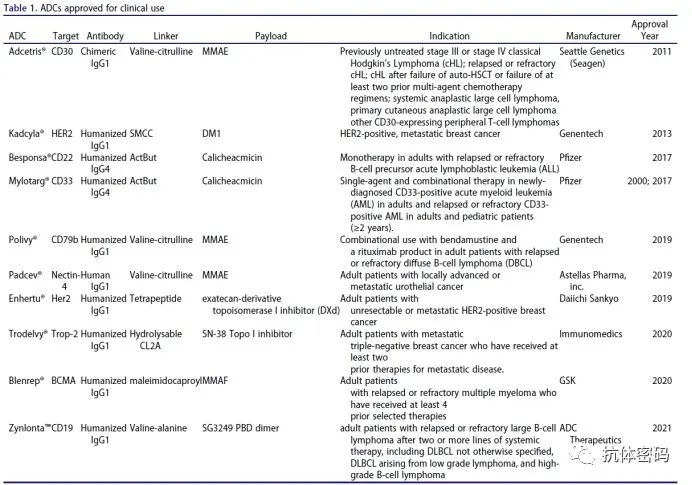 FDA Experts Analyze Challenges and Prospects of ADC Drugs