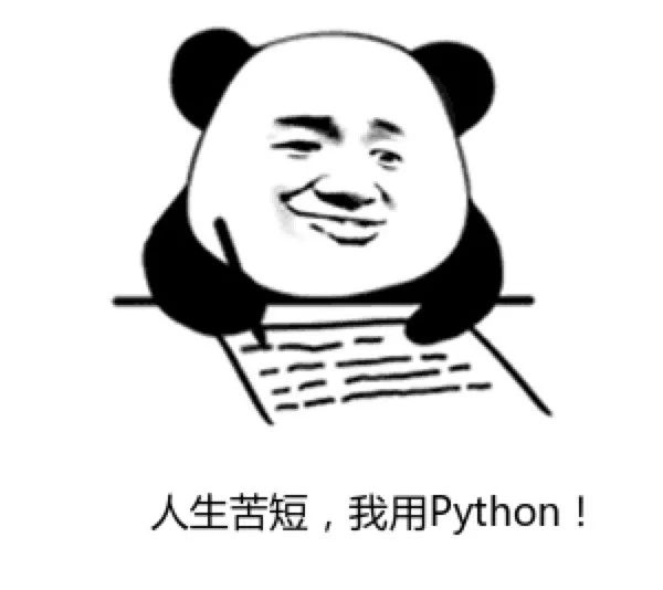 Advantages and Disadvantages of Various Programming Languages