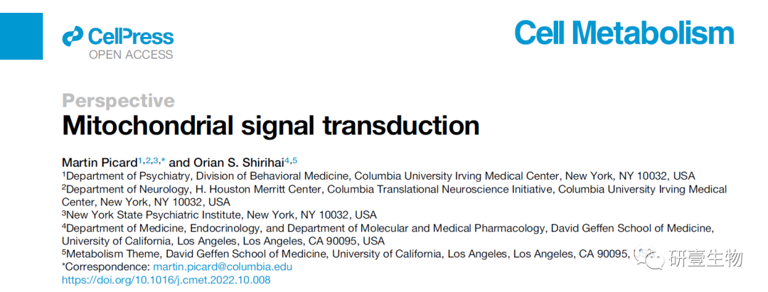 Mitochondrial Signal Transduction: A Comprehensive Overview