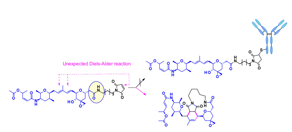 Overview of Antibody-Drug Conjugates (ADCs)