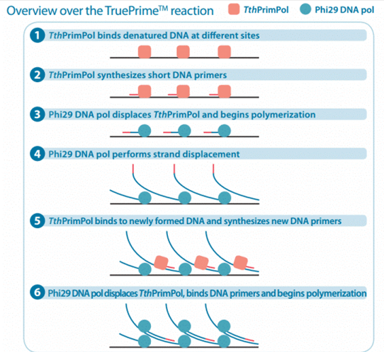 Molecular Diagnosis Technology Comprehensive Analysis Trilogy