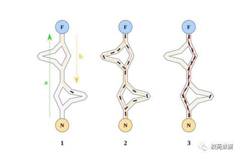 Detailed Explanation of Matlab Fitting