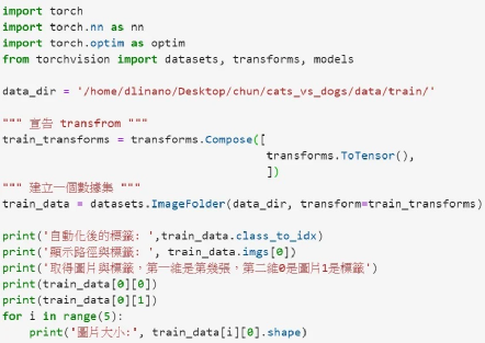 Building a Simple Cat-Dog Classifier with NVIDIA Jetson Nano