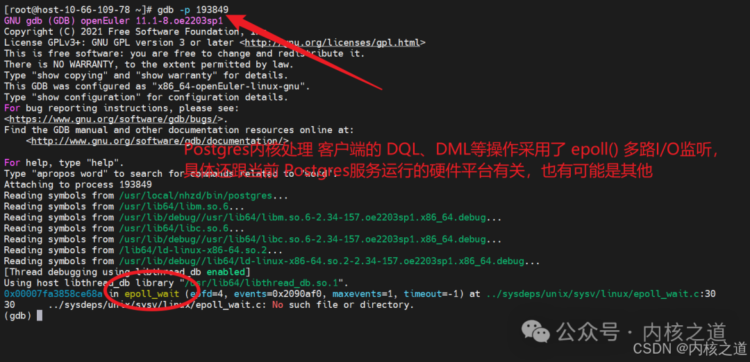 GDB Debugging Postgres Kernel (Postmaster + Backend + Client DQL/DML Handling)