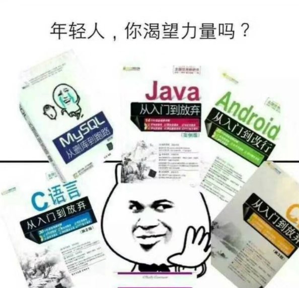 Advantages and Disadvantages of Various Programming Languages