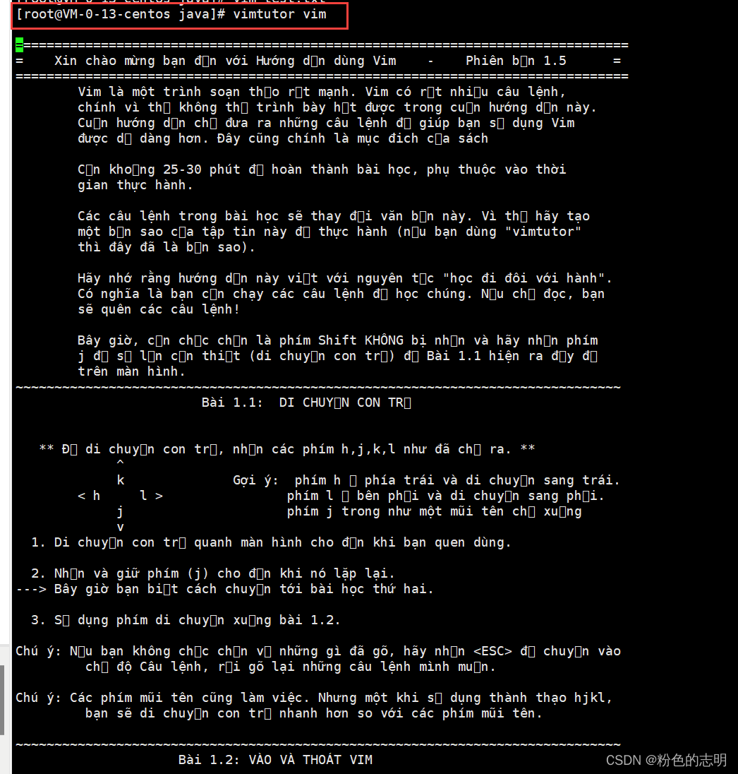 Common Linux Commands Explained