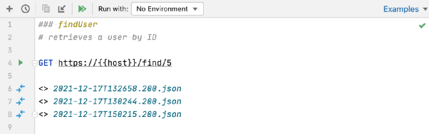Detailed Guide on GoLand HTTP Client