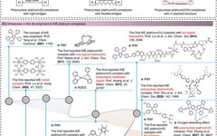 Review of AIE Platinum Complexes by Academician Tang and Professors Lin and Guo